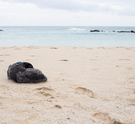 Best beach in Taiwan?