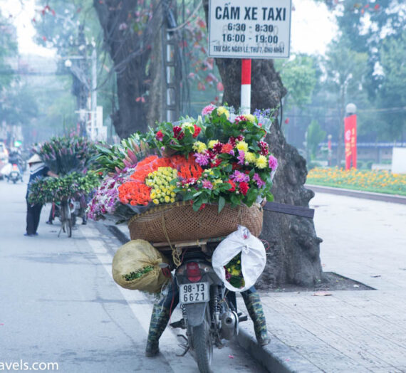 Photos of Vietnam