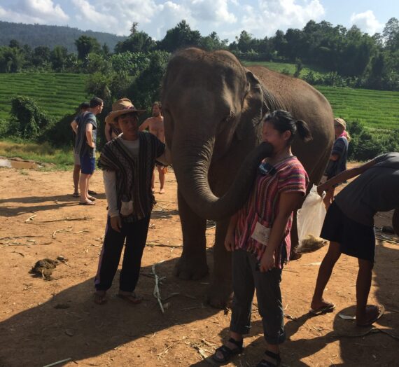 Elephant Jungle Sanctuary in Chiang Mai, Thailand